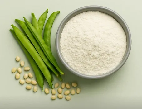 Guar-Gum-powder